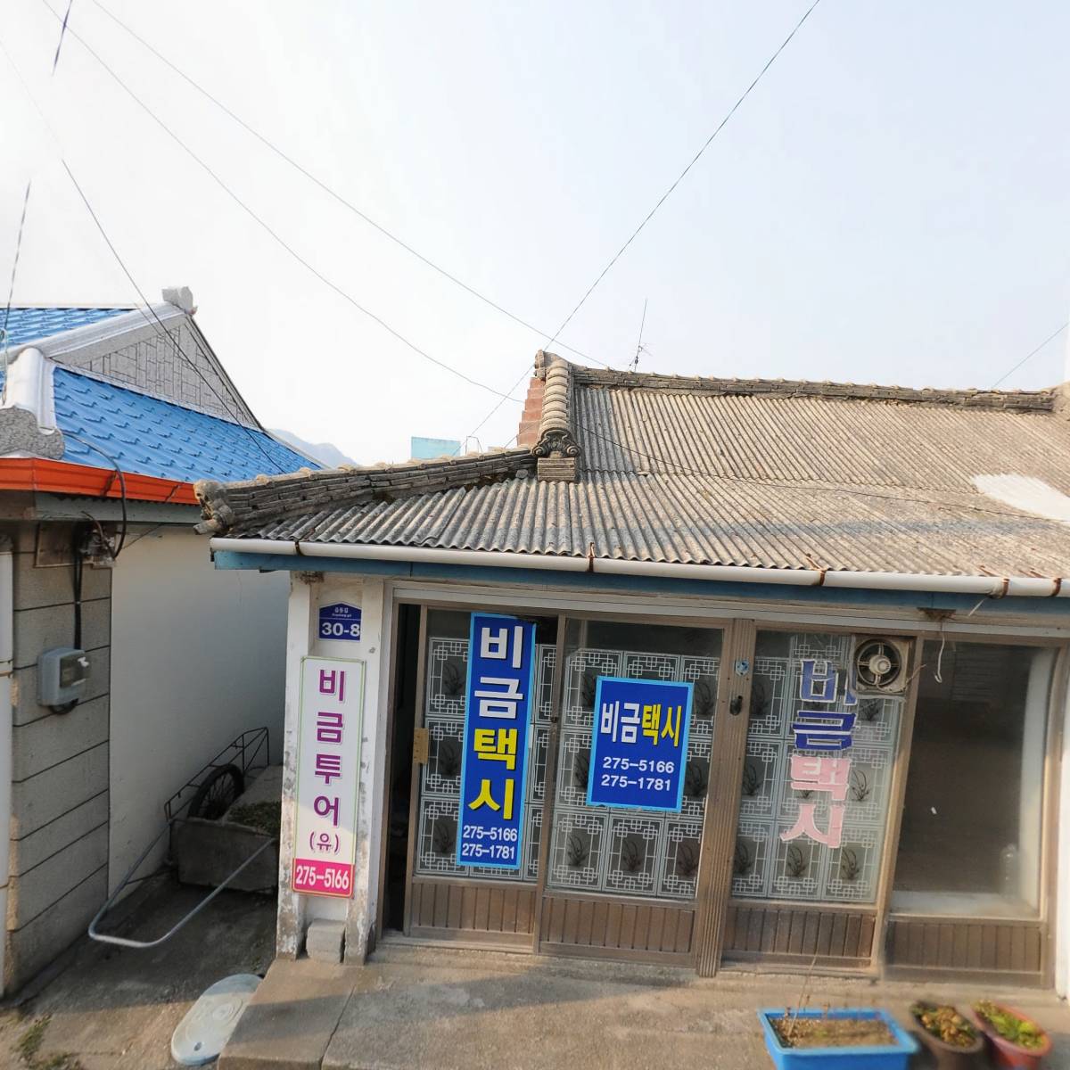 비금투어 유한회사