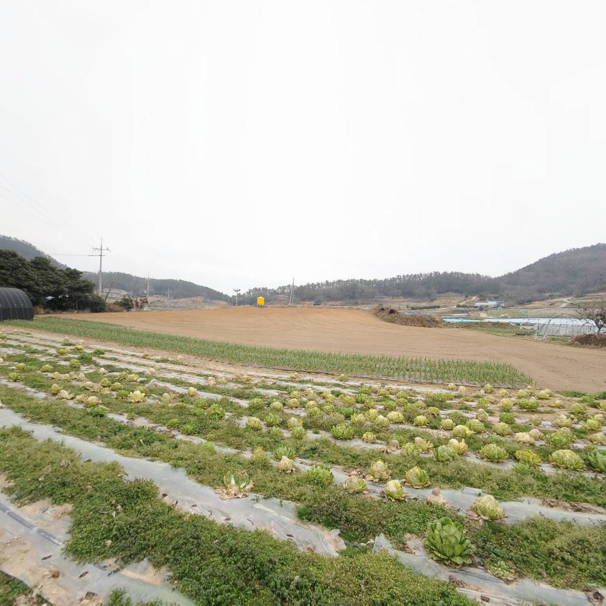 조도초등학교 후원회_3