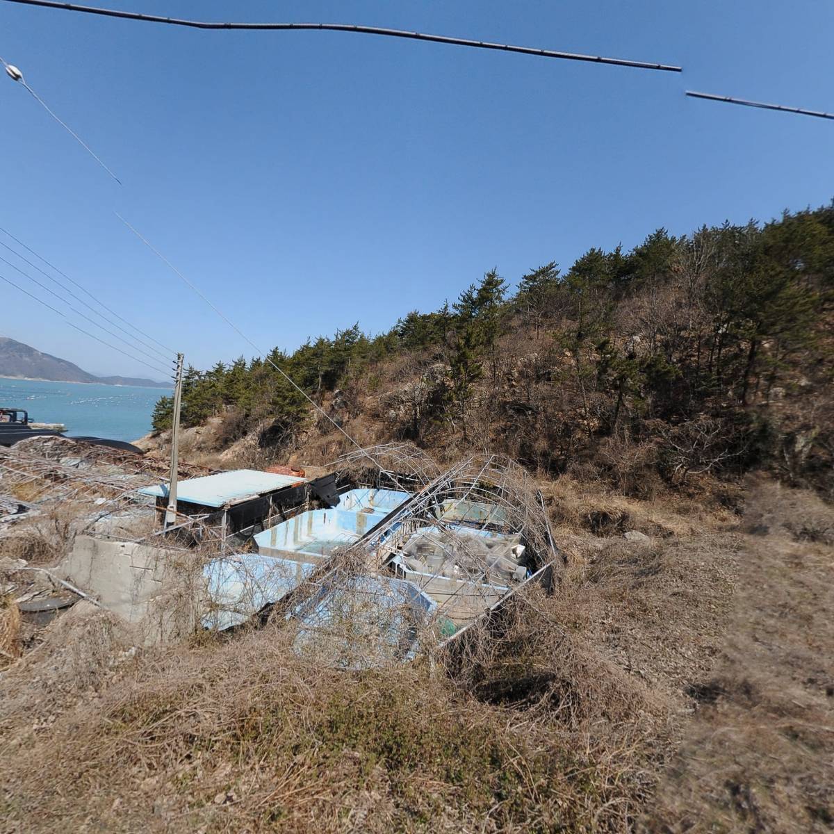 정옥수산