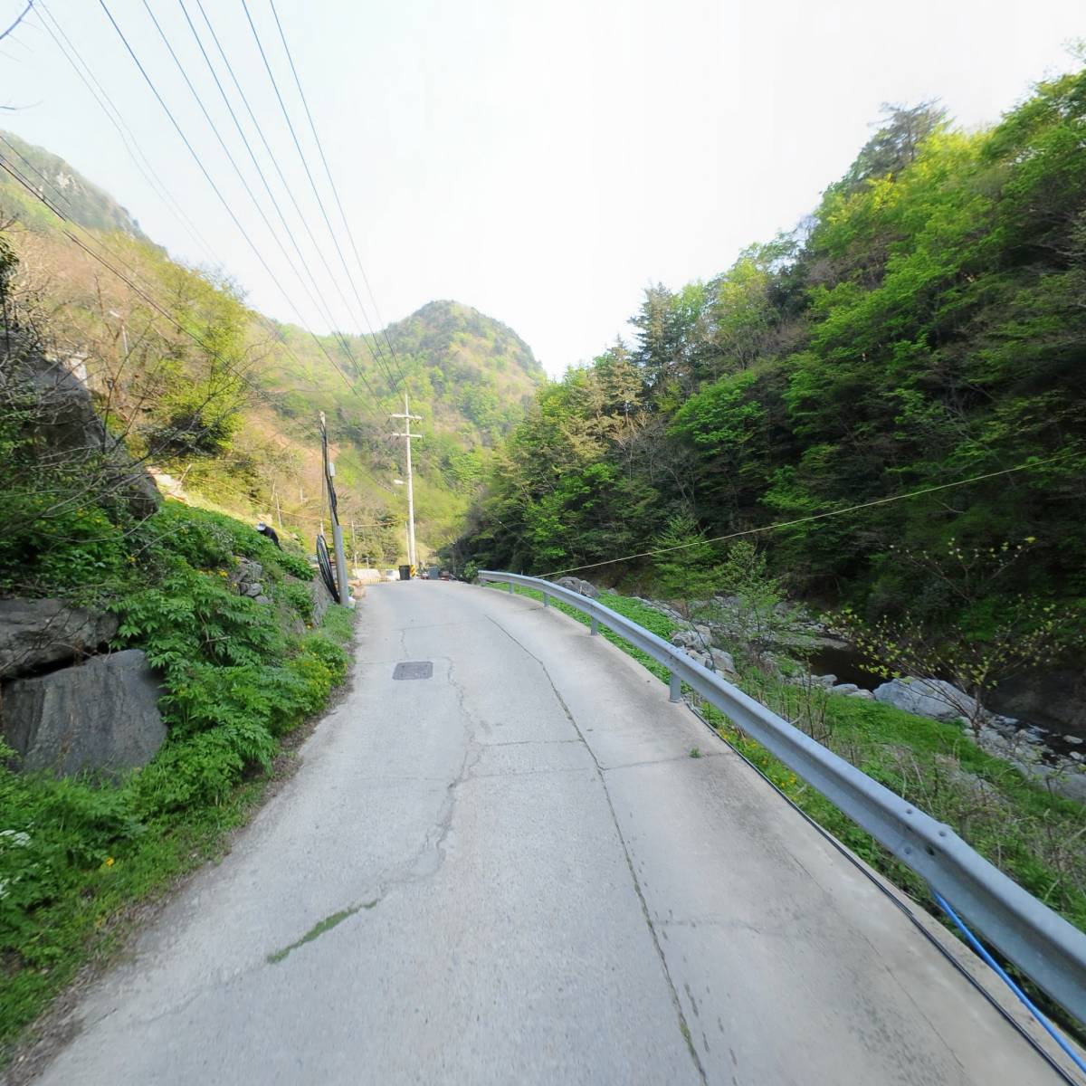 울릉산림직거래 영농조합법인_2