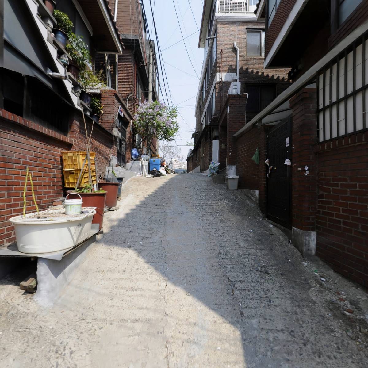봉감풍선아트_2