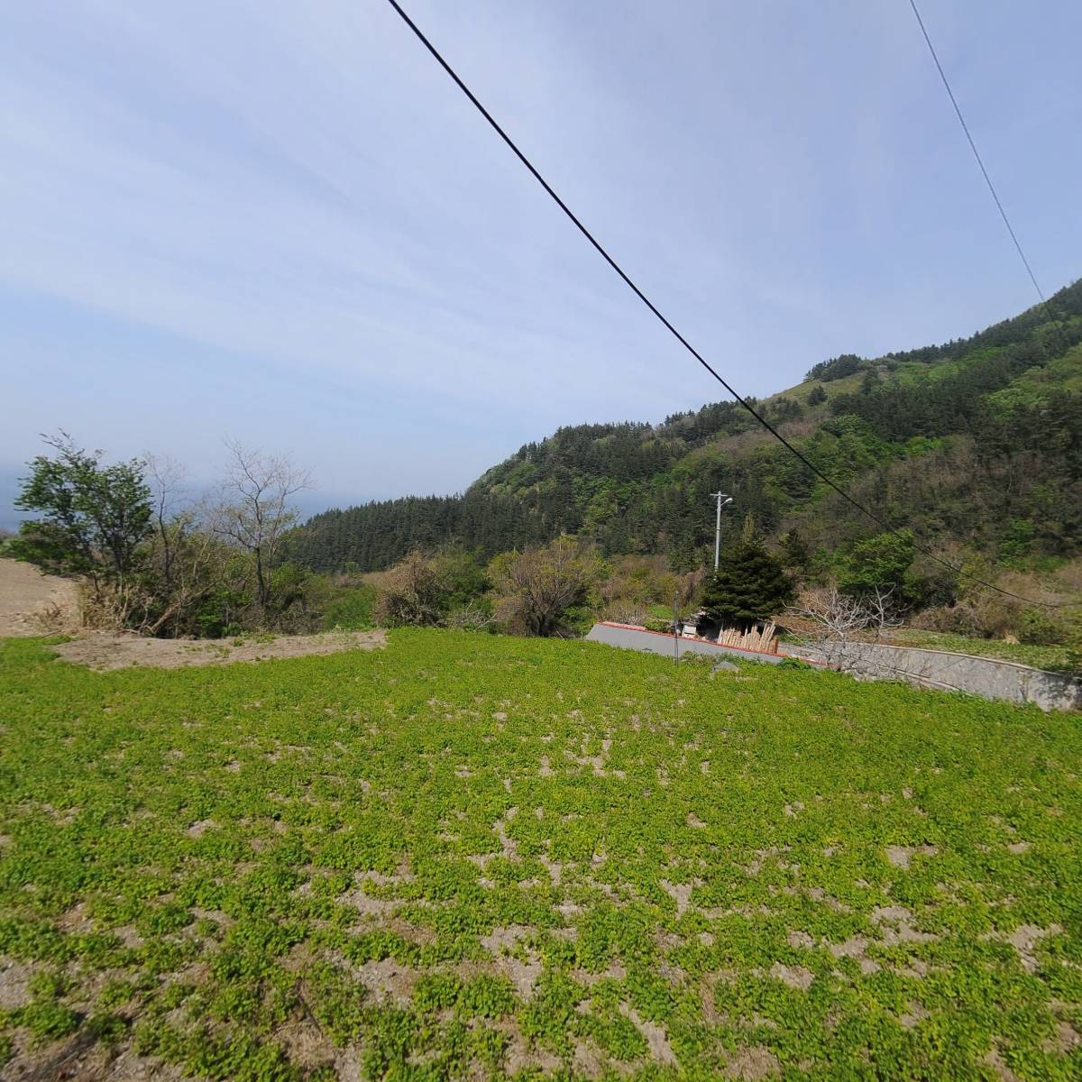 (주)울릉오투