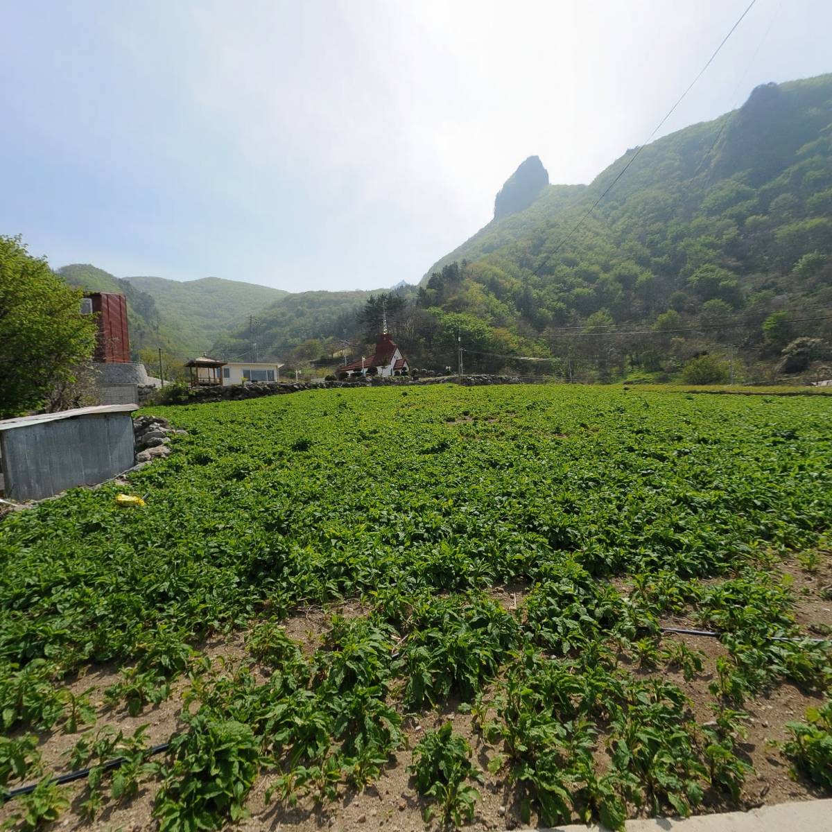 (주)울릉오투_3