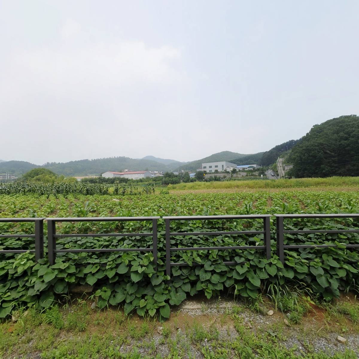 남양주 텐트세탁소