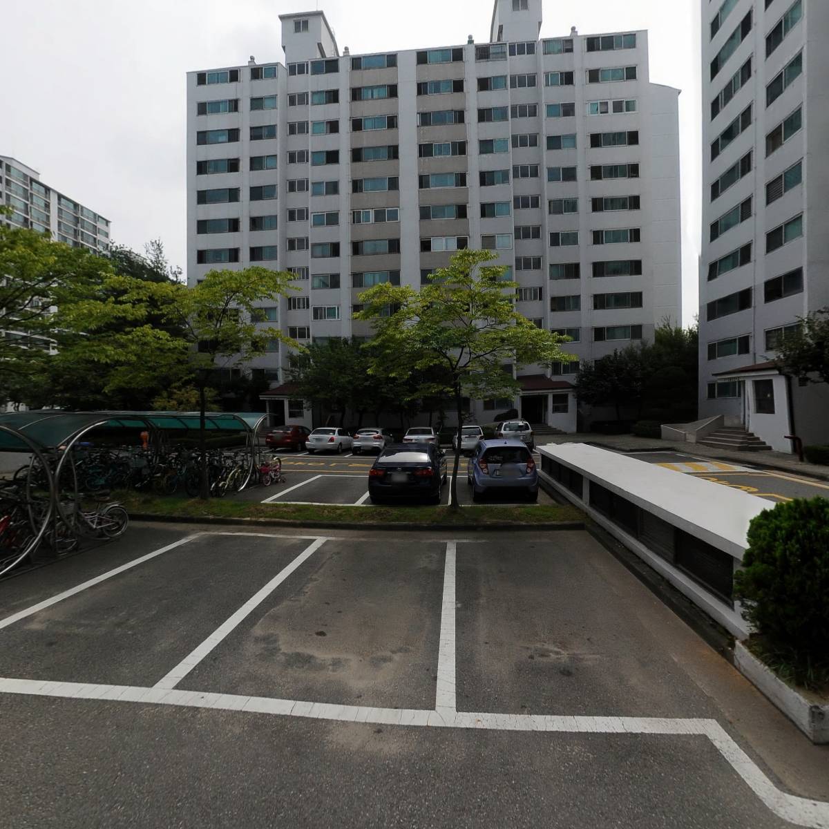 케파스코리아_3