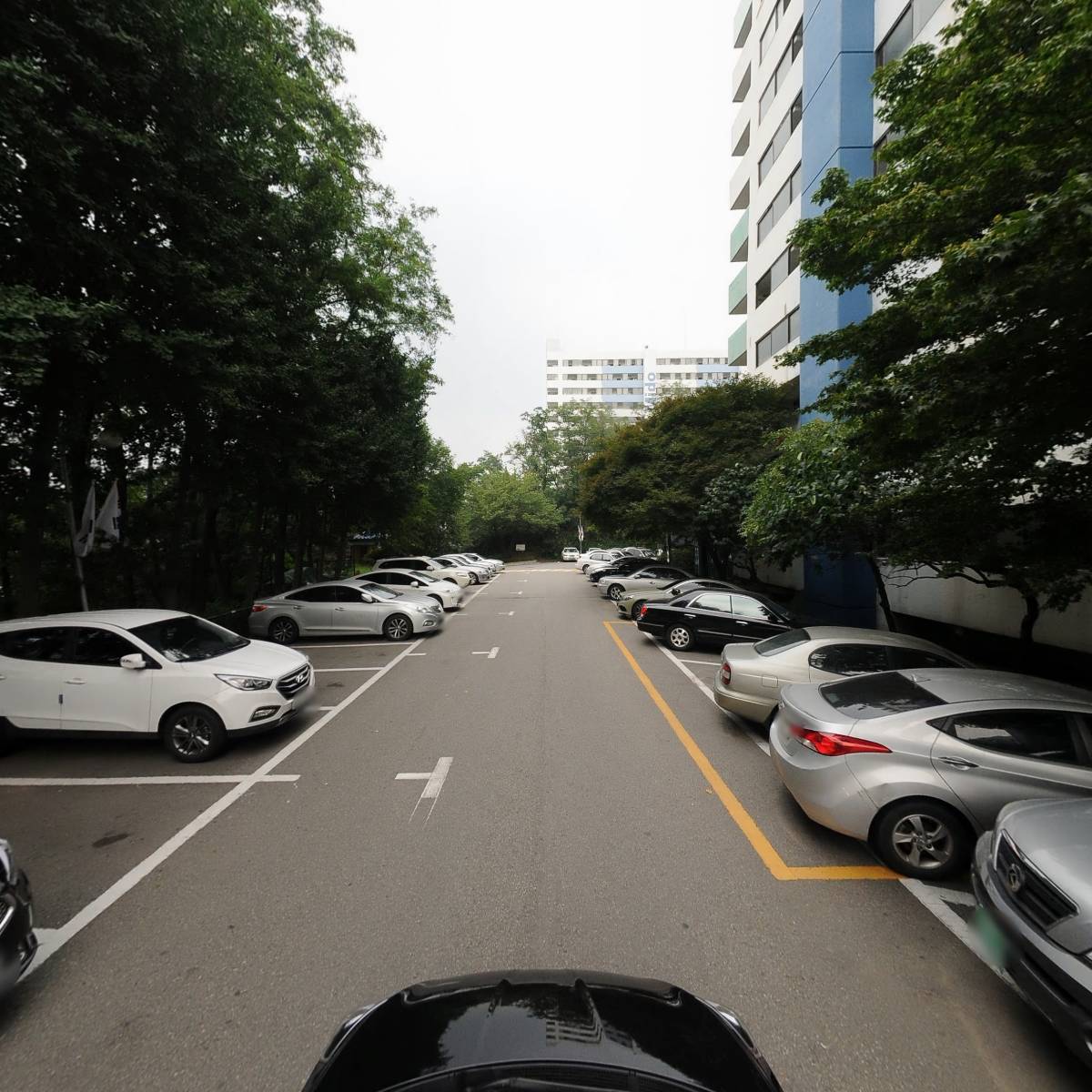 시크릿소사이어티 어패럴_4