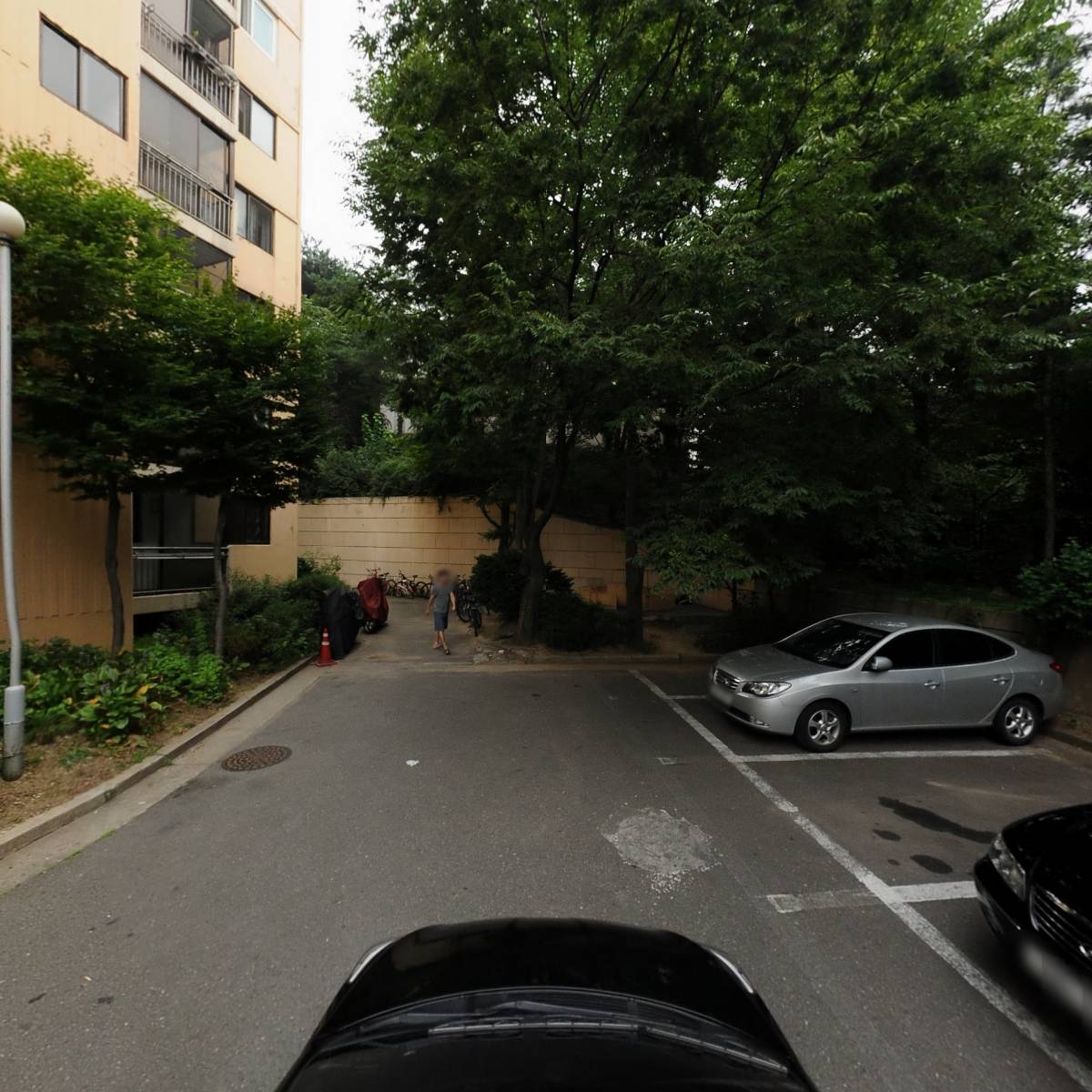 한국태권도신문_4