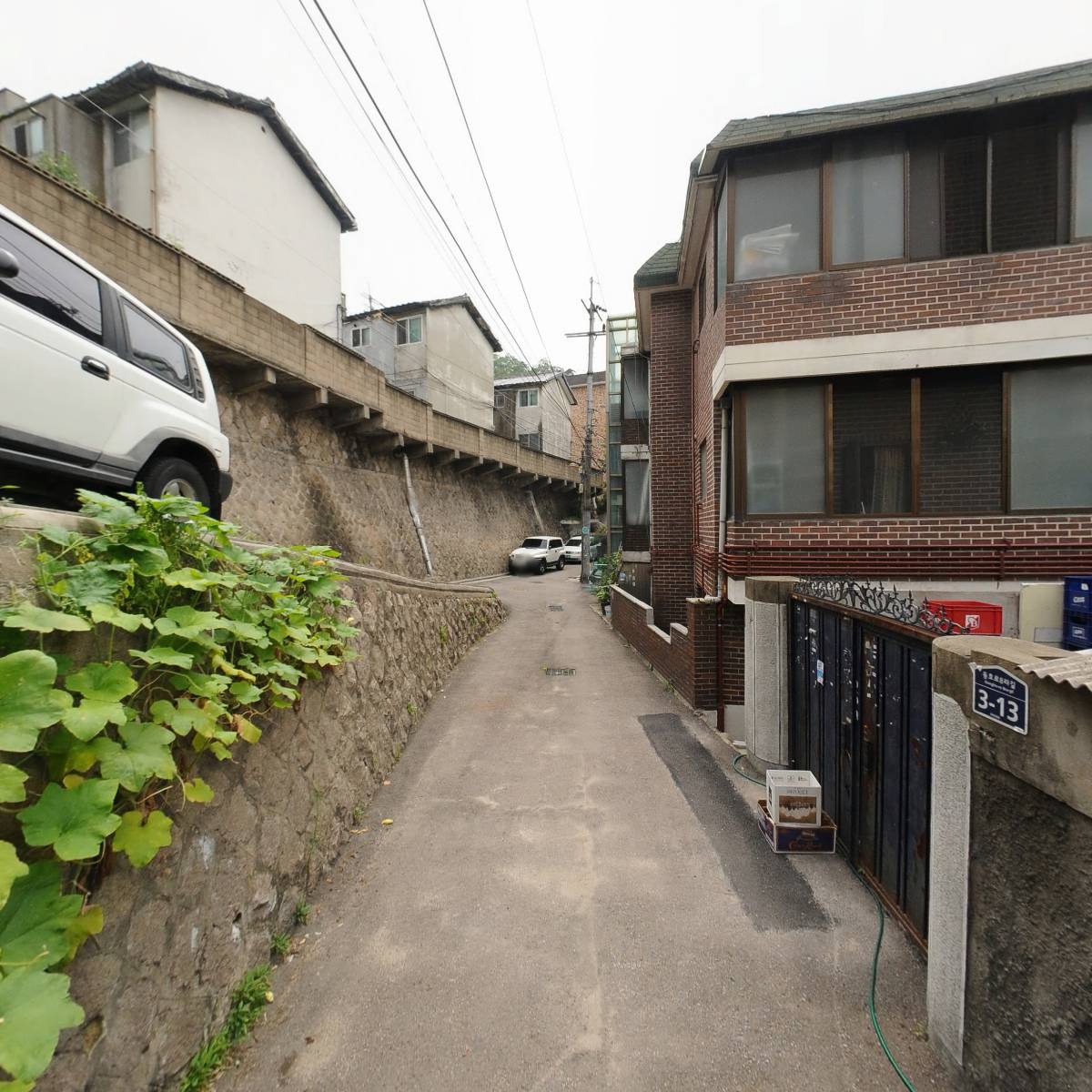 핑크레빗_2