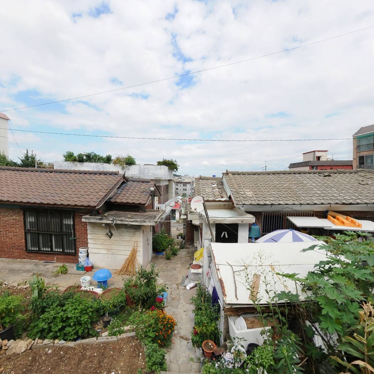 더쿡_3