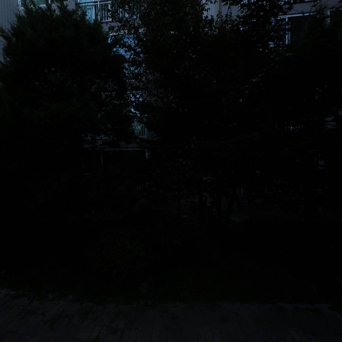 웰칩스_3