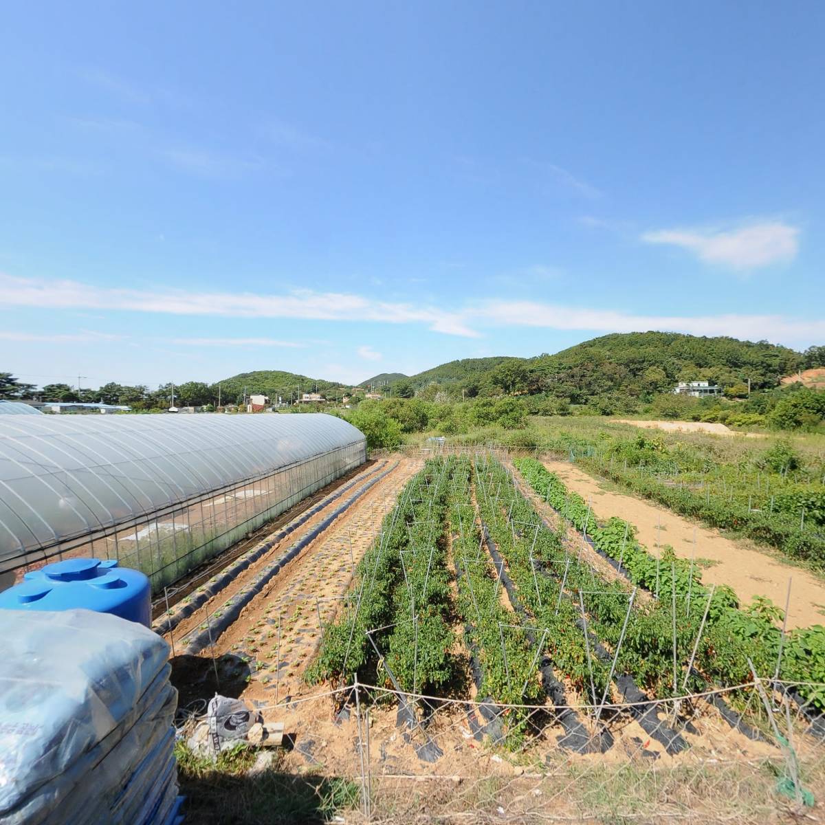 주식회사 인터코스 장봉도지점