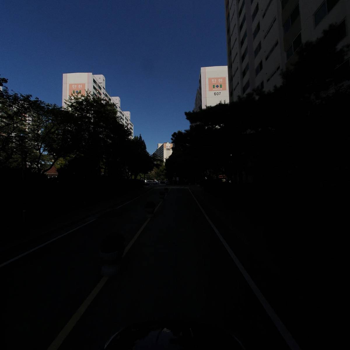 루체(LUCE)_4