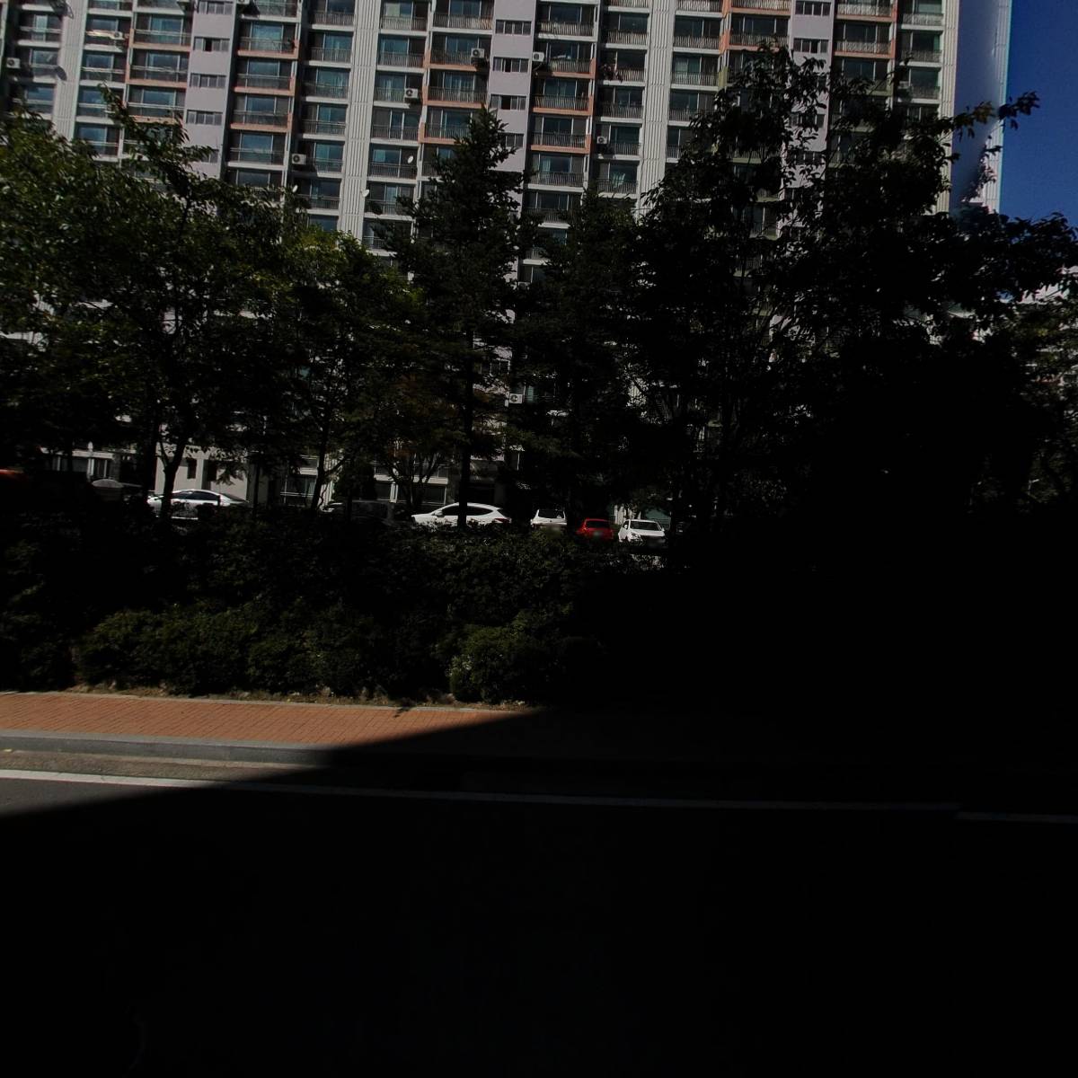 루체(LUCE)_3