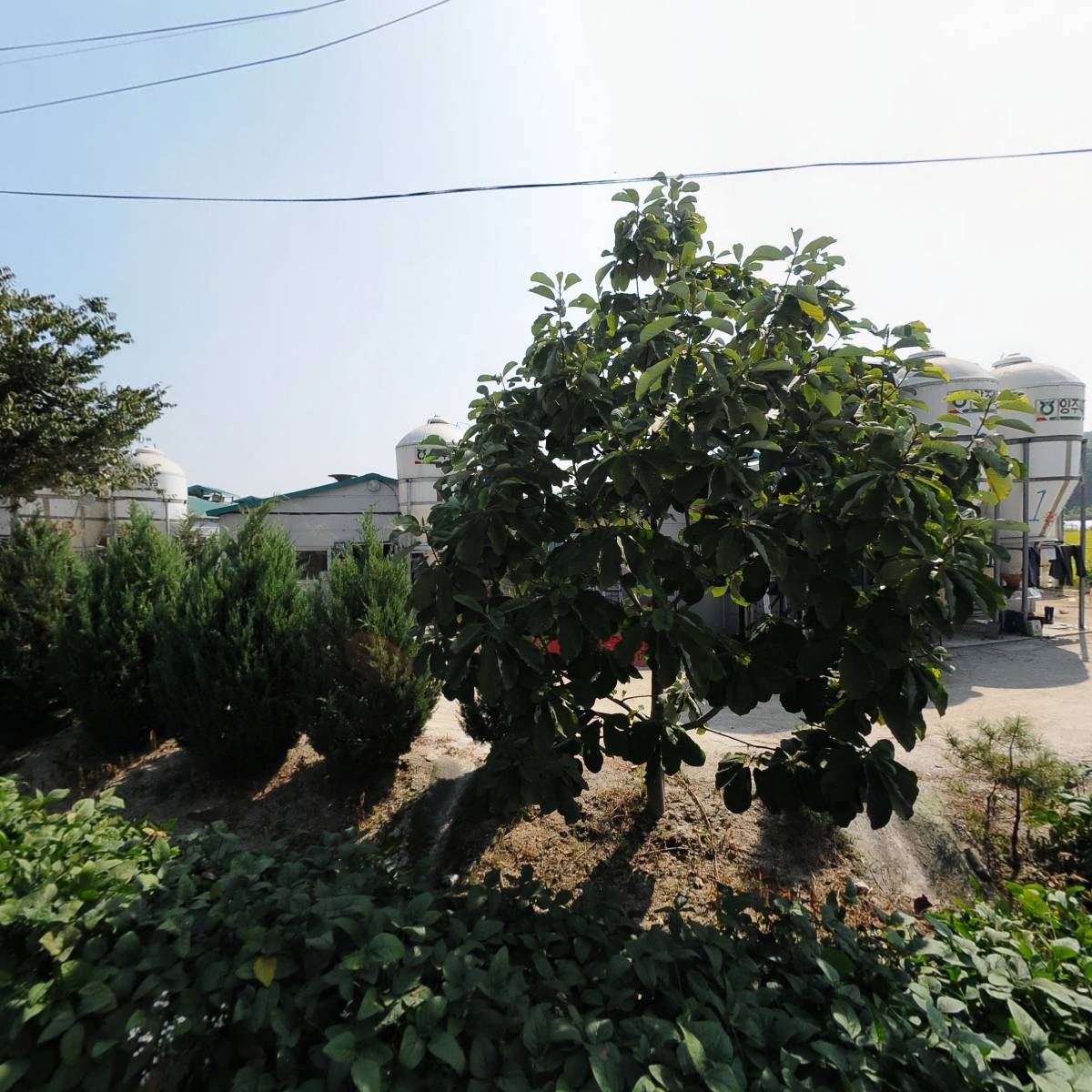 덕천농장