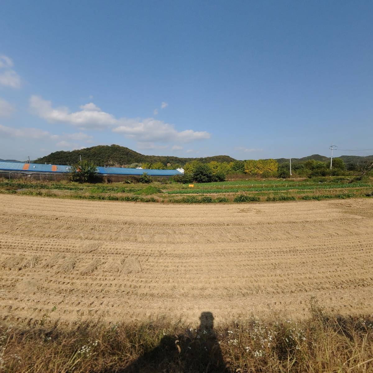 순흥육묘장