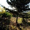 주식회사 디알뮤직