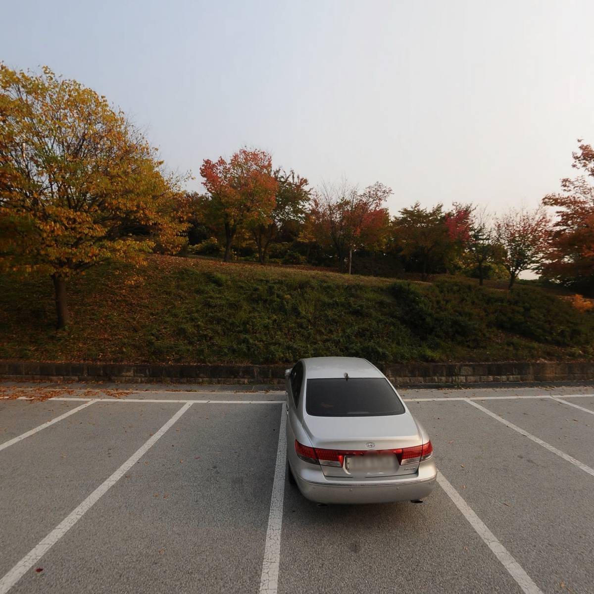 （사）한국연극협회 양평군지부