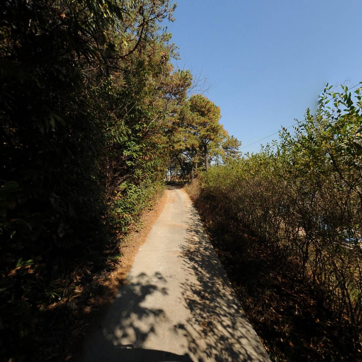 농업회사법인해밀(주)_2