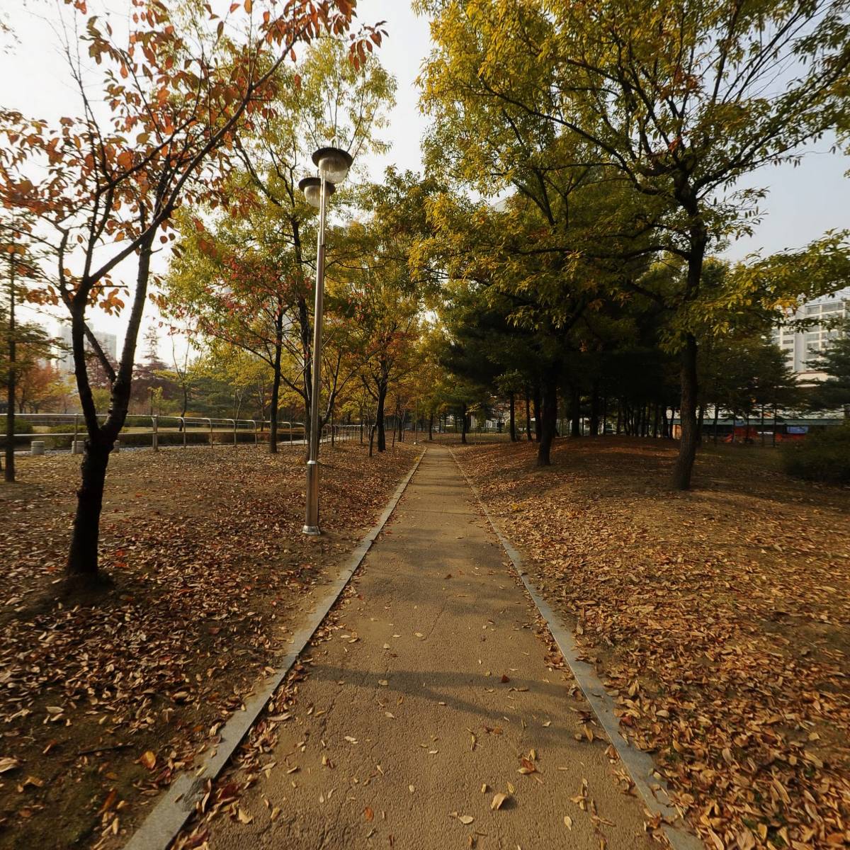 주식회사세인_2