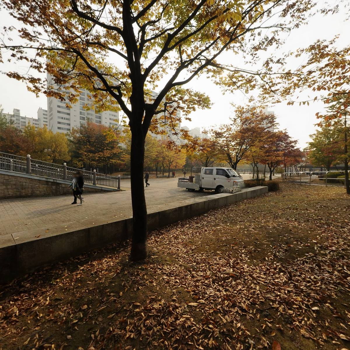 주식회사세인