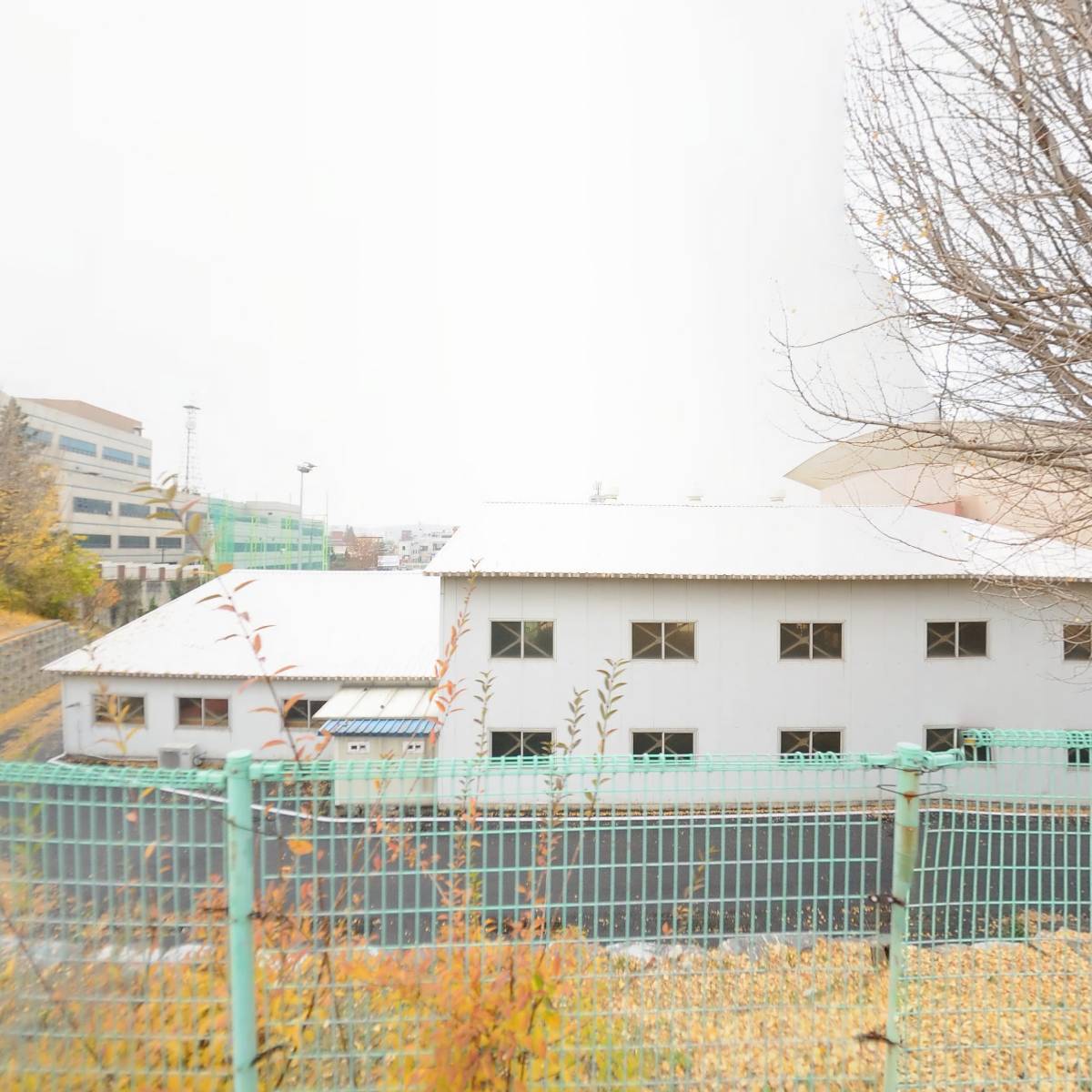 천안북중학교