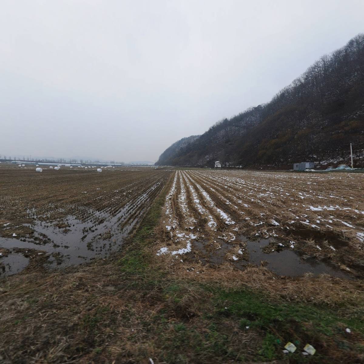농업회사법인주식회사아삭(ASAK)_3