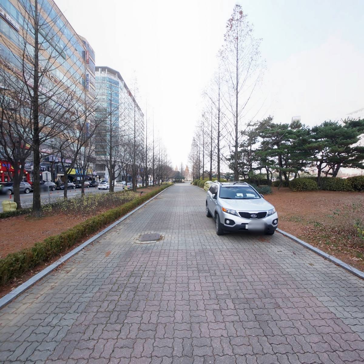 바퀴달린 설이네 카페_4