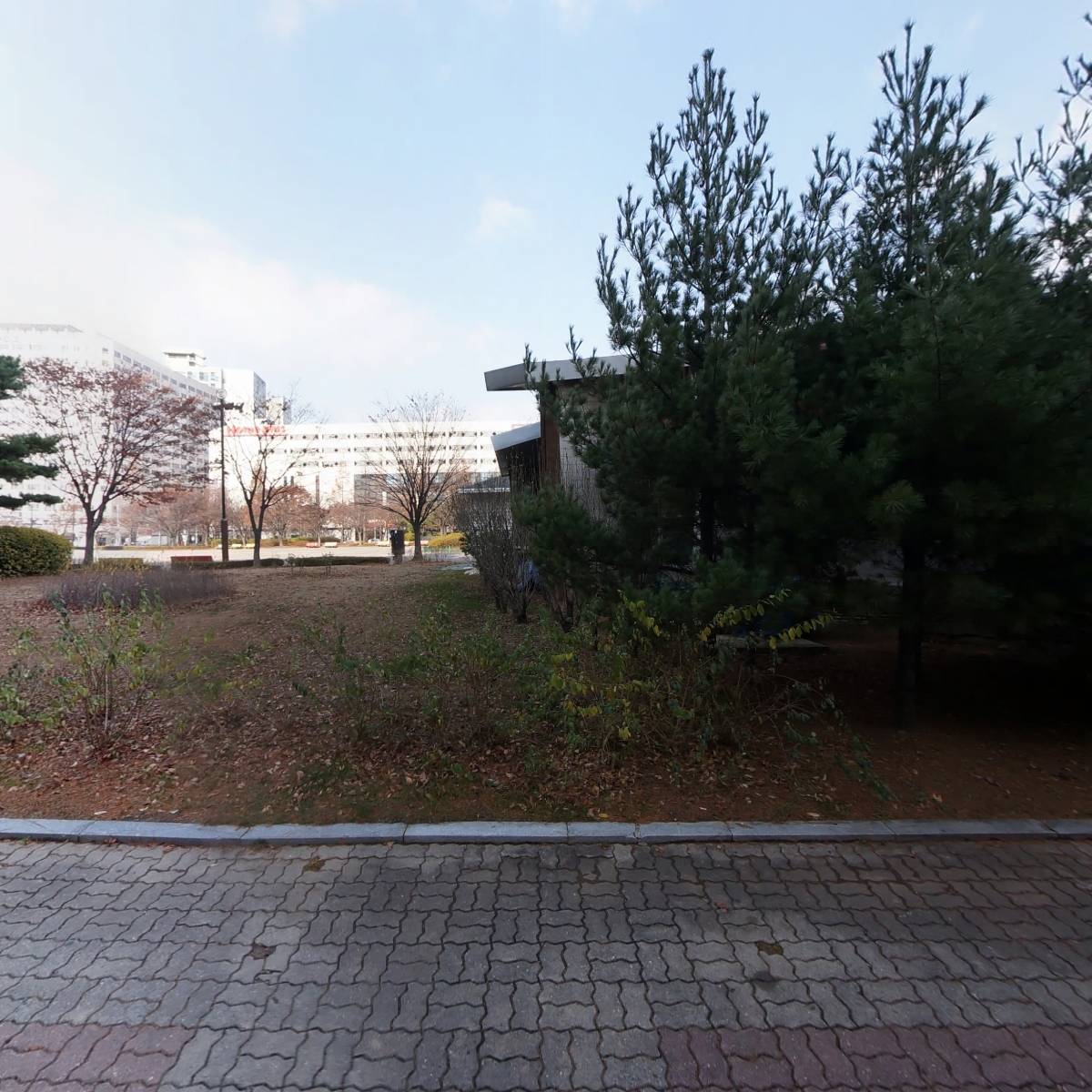 바퀴달린 설이네 카페