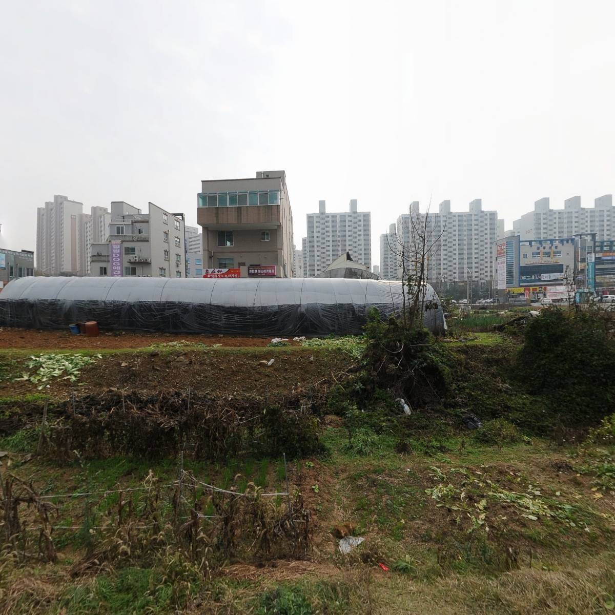 설악본가