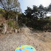 대한불교조계종 백룡사_4