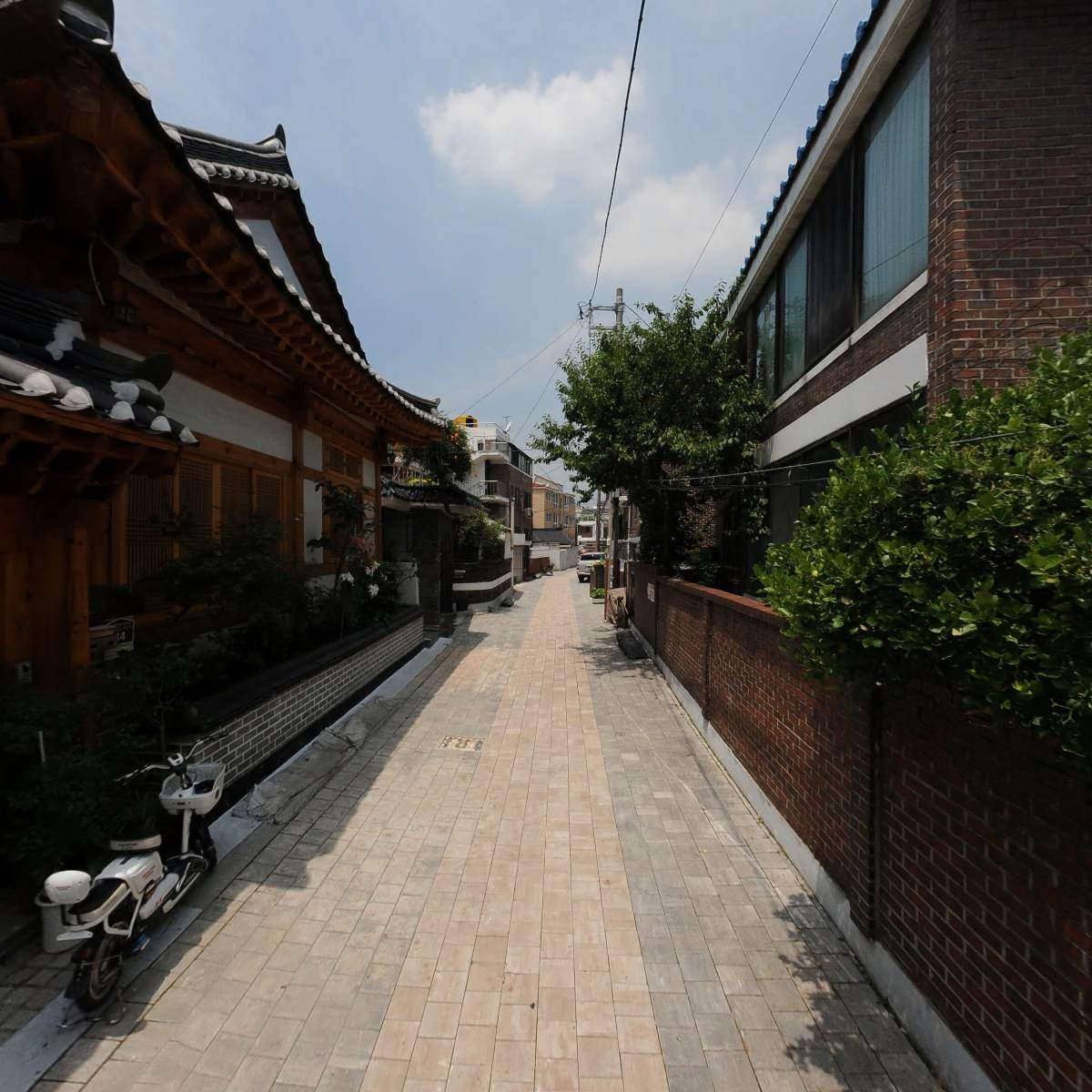 미카사_2
