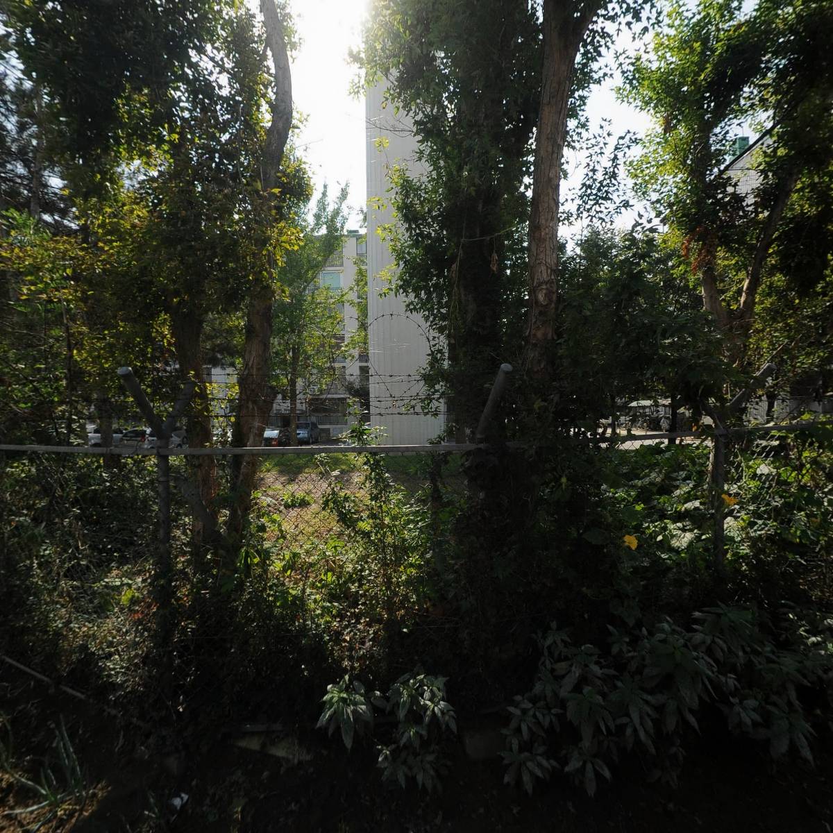 씨즈 더 모먼트(seizethemoment)