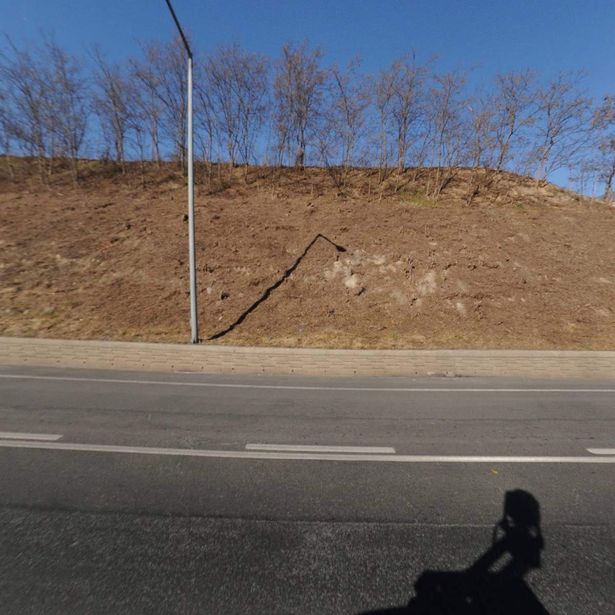 (주)하이모 자연건강사업부