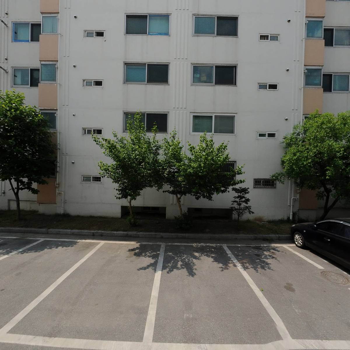 엑스카케어