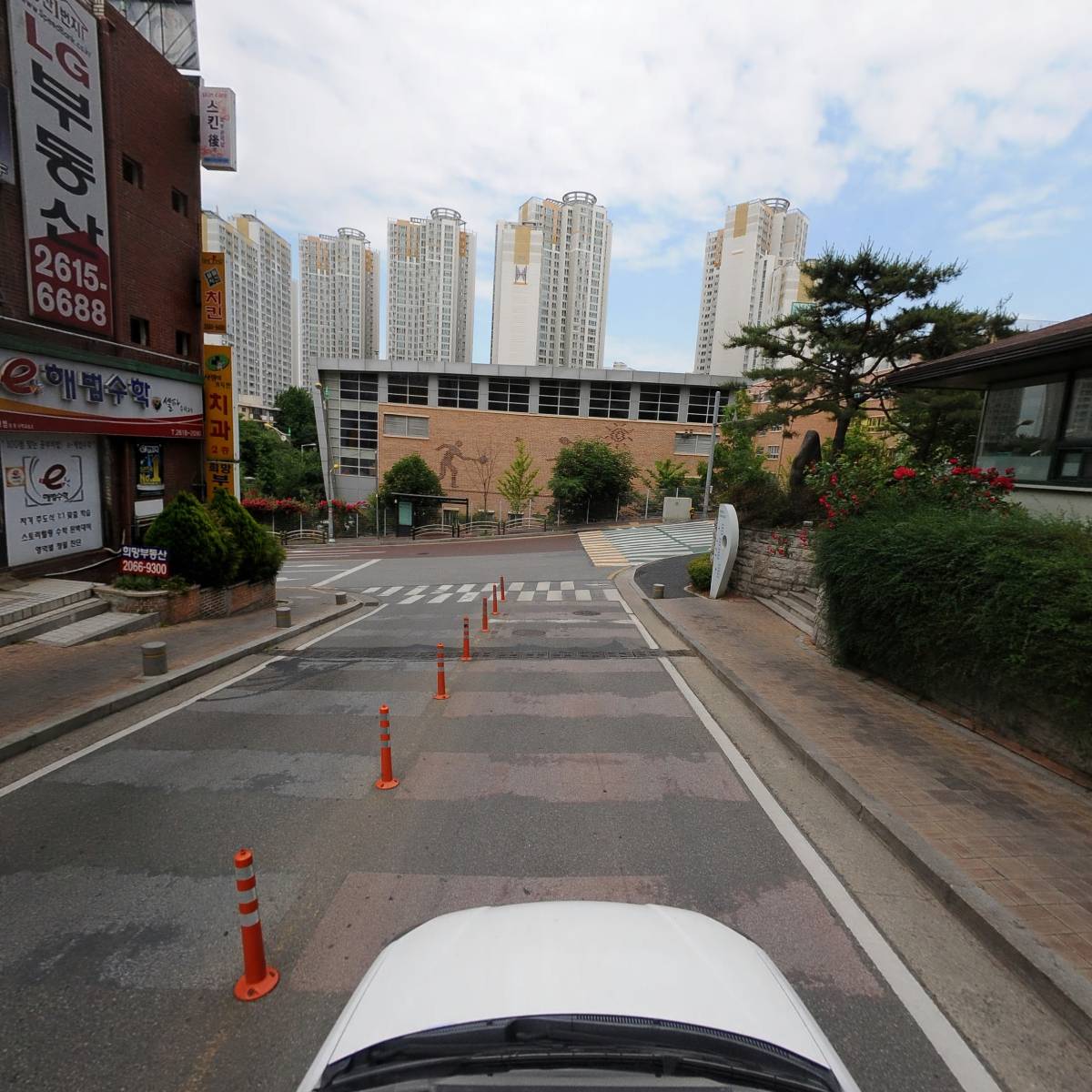 인셀덤포에버_4