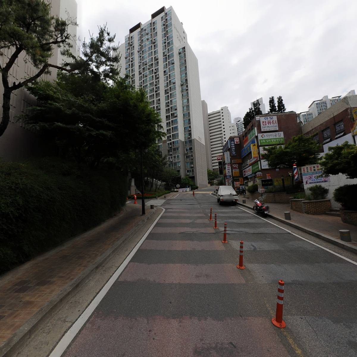 인셀덤포에버_2