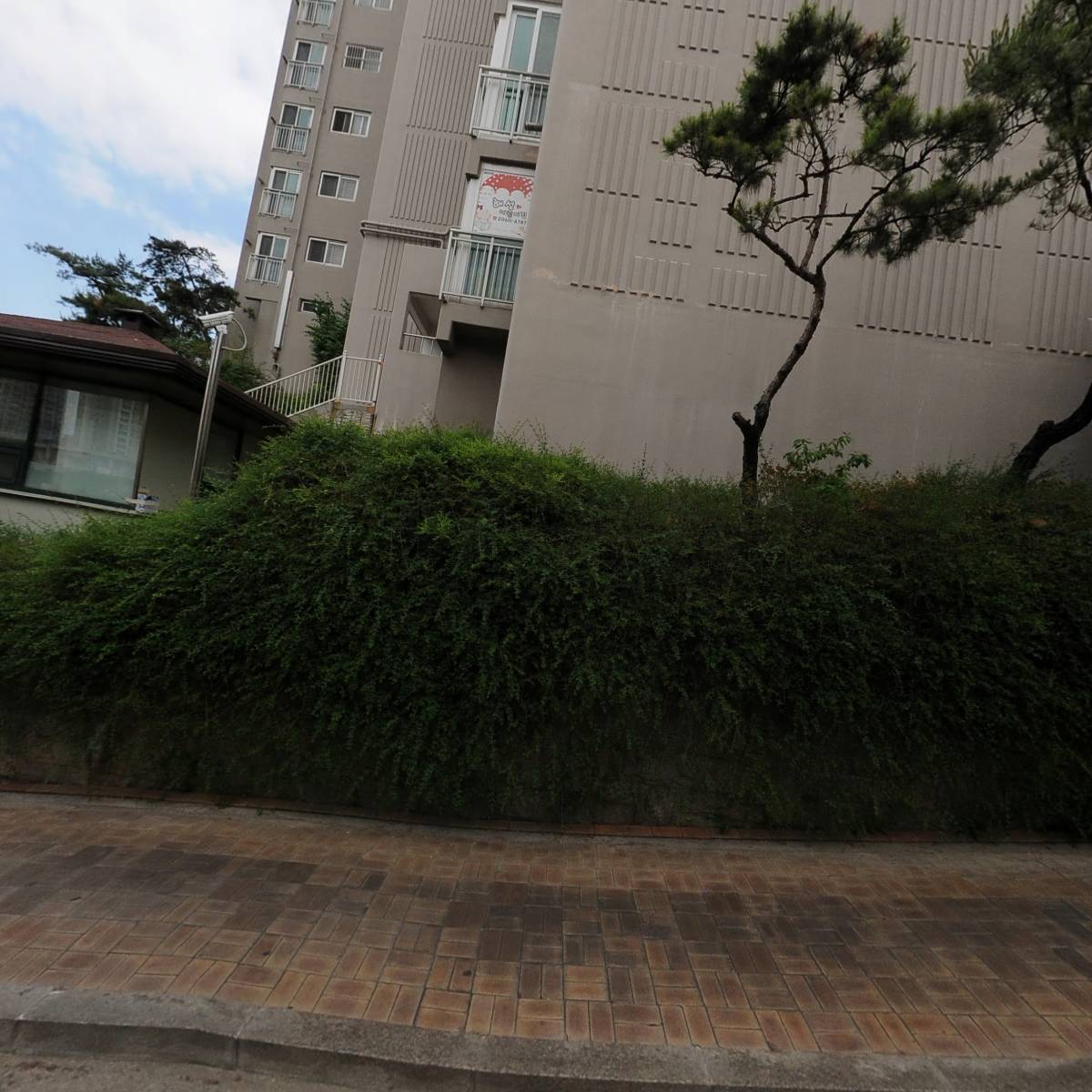 인셀덤포에버