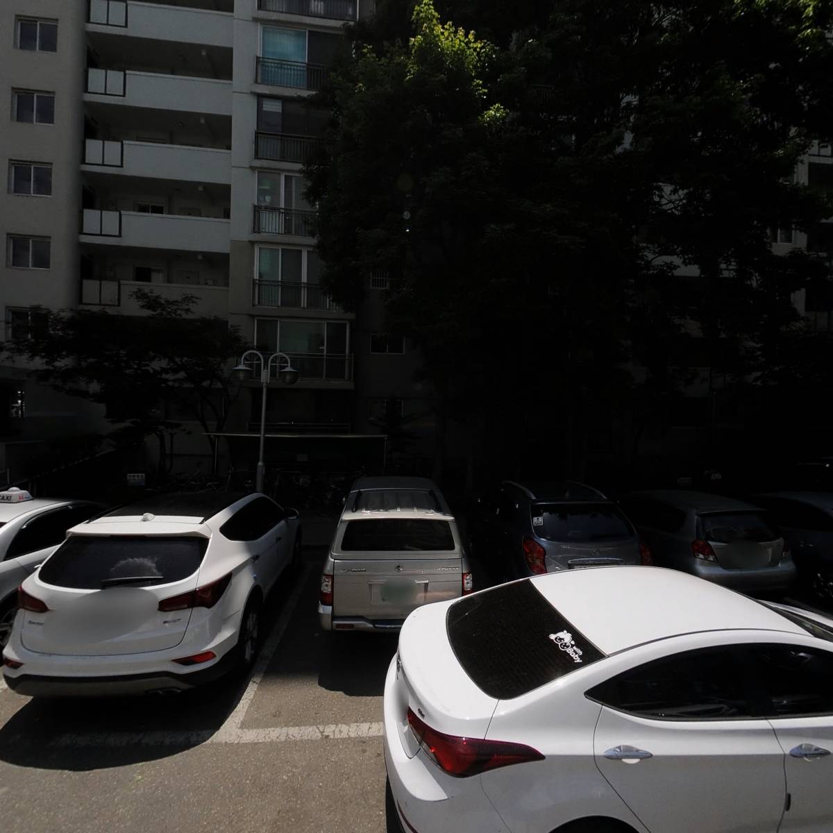 피다(P다)