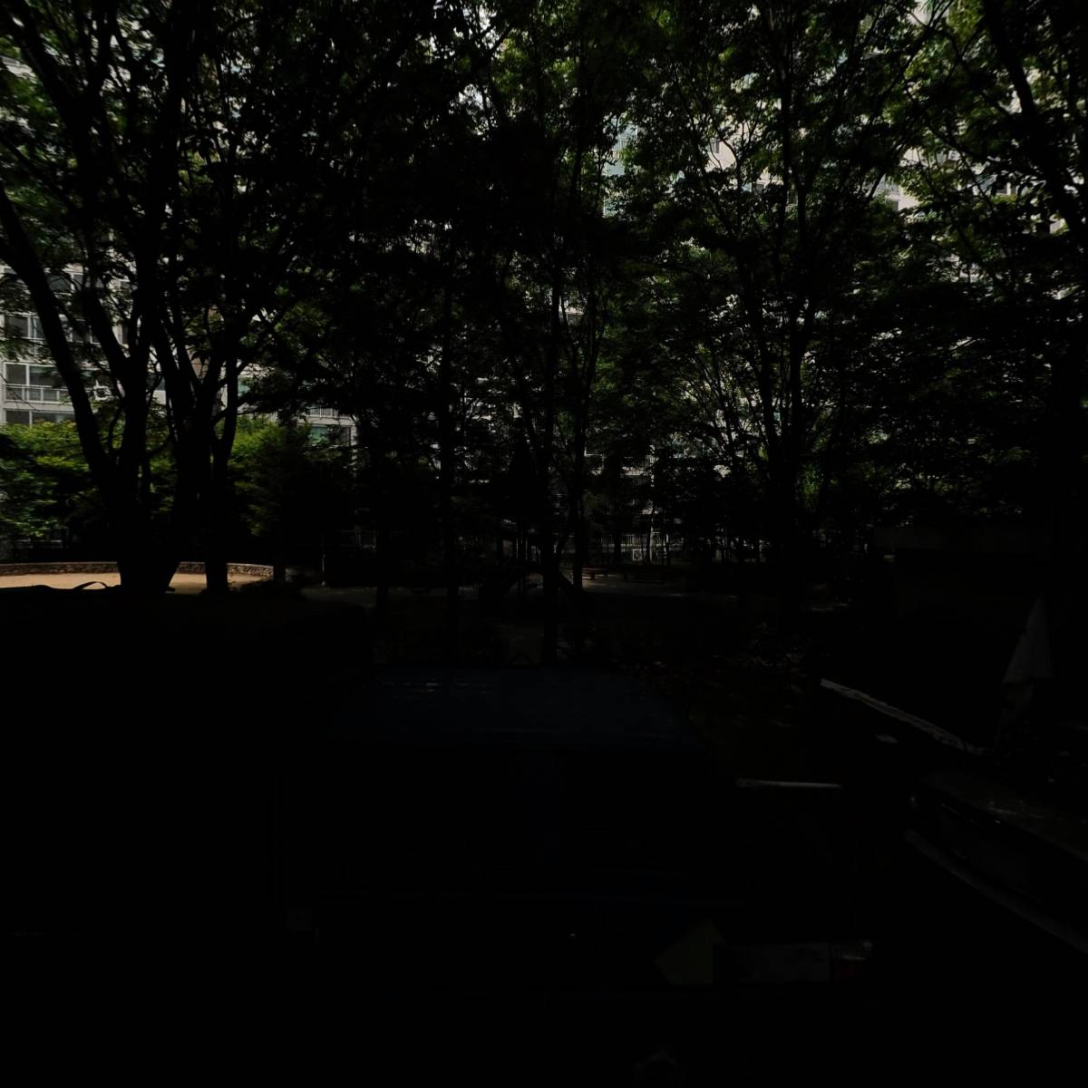 헬스개인레슨