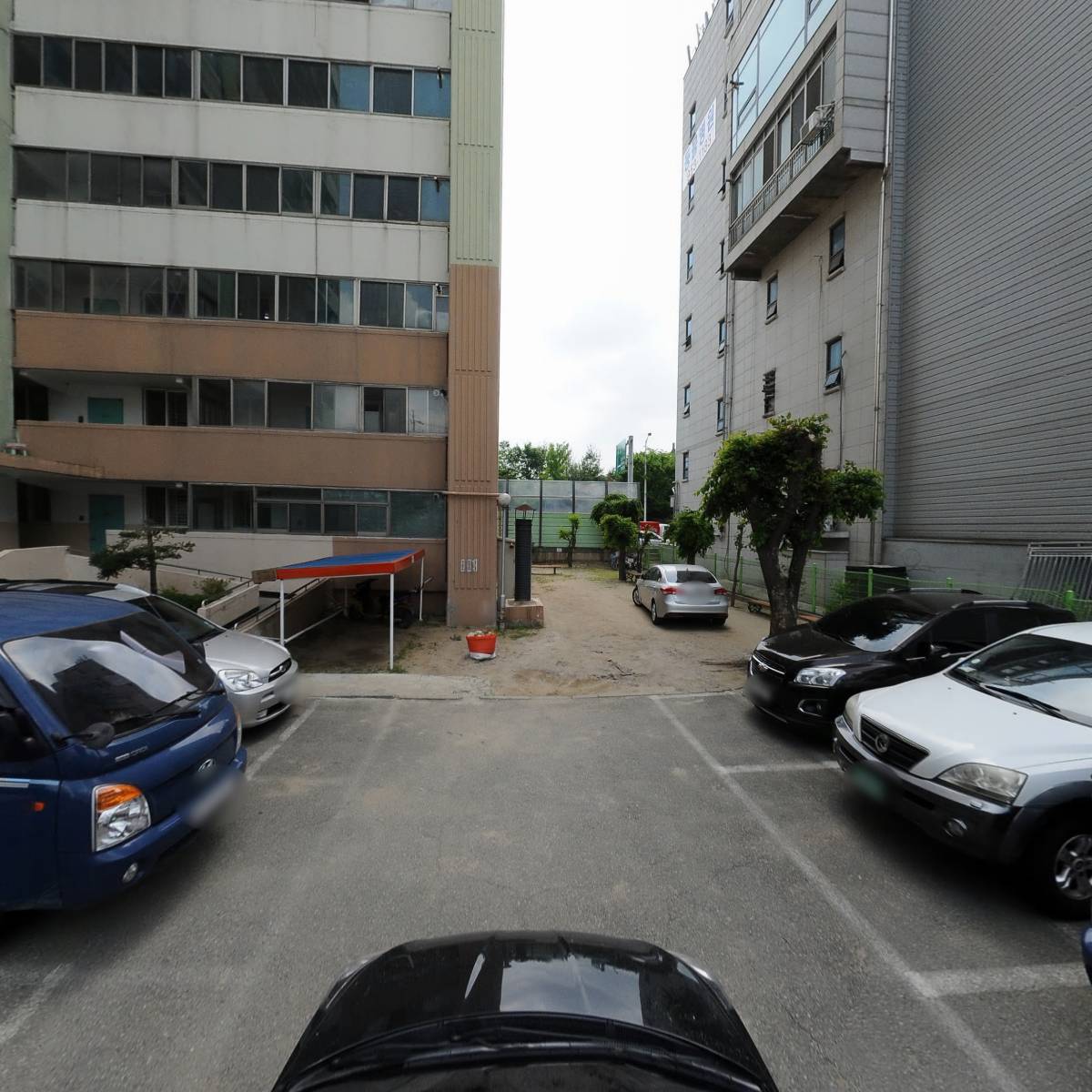 터줏대감_4