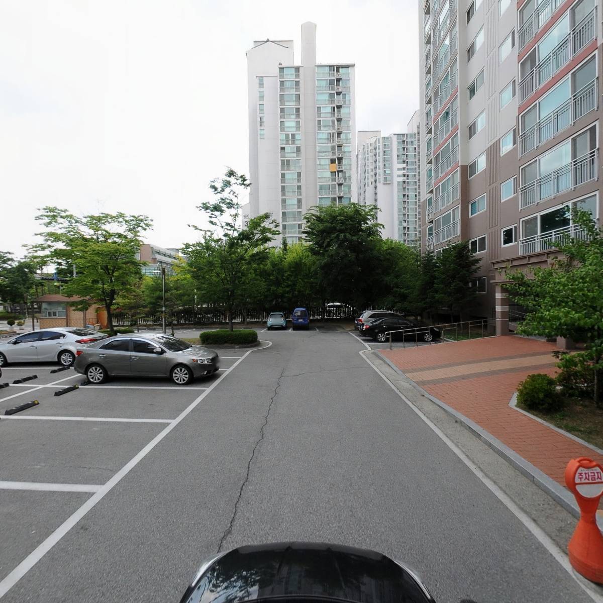 가위이야기(강남1지사)_4