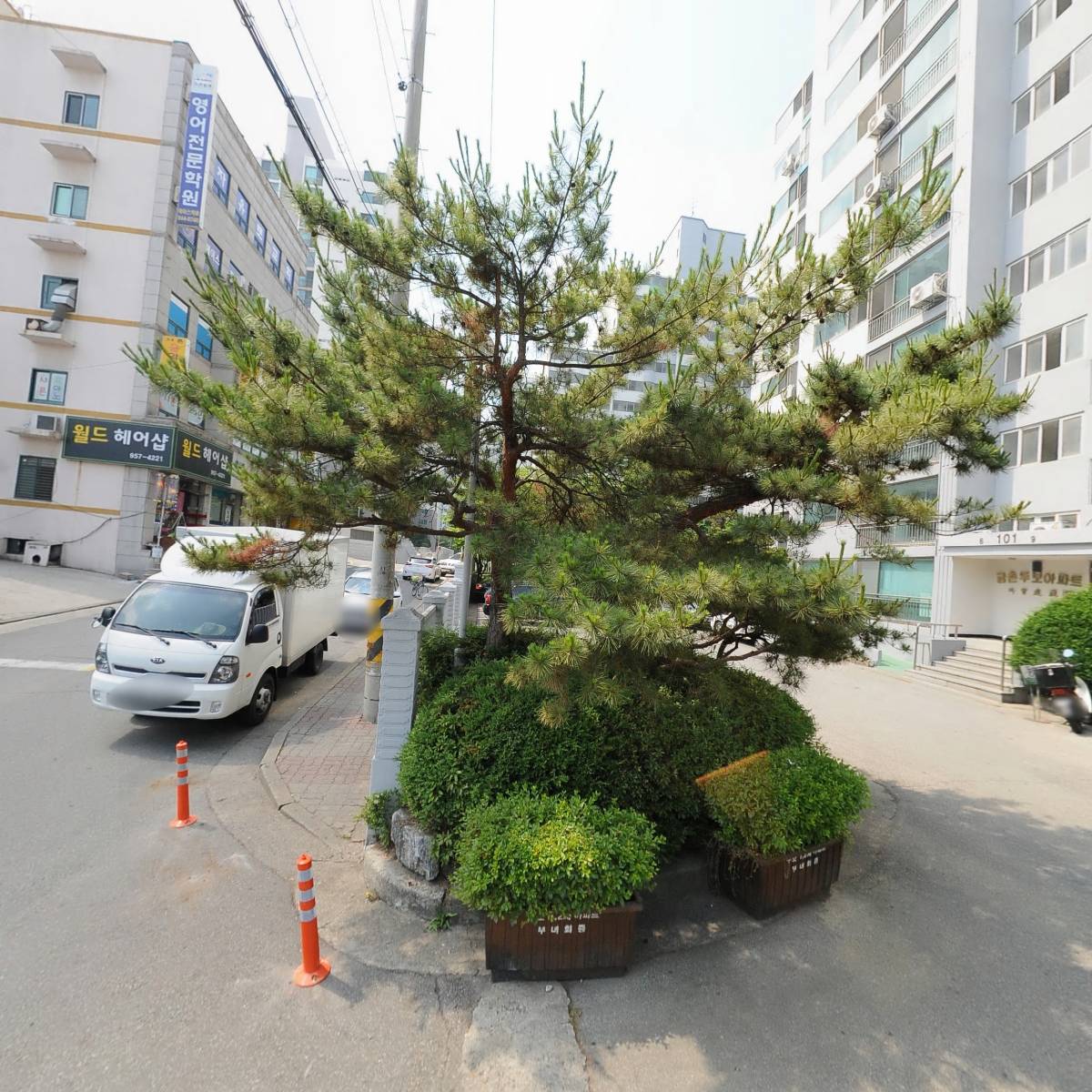 딜리온 배달대행 딜리버리 서비스_3