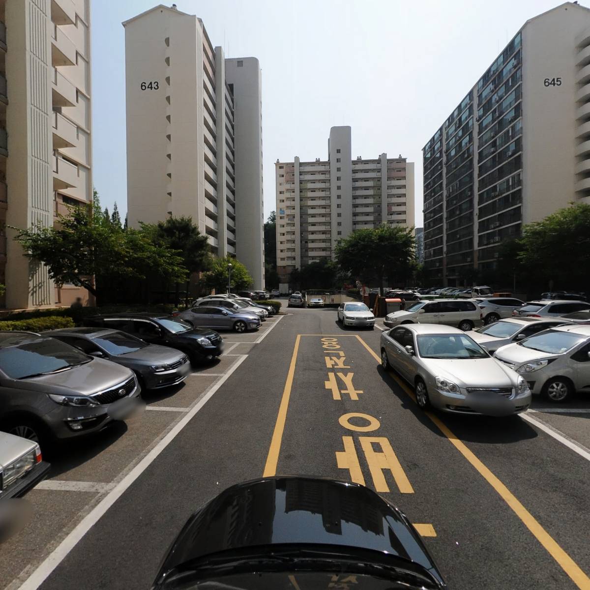 피제이코리아_4