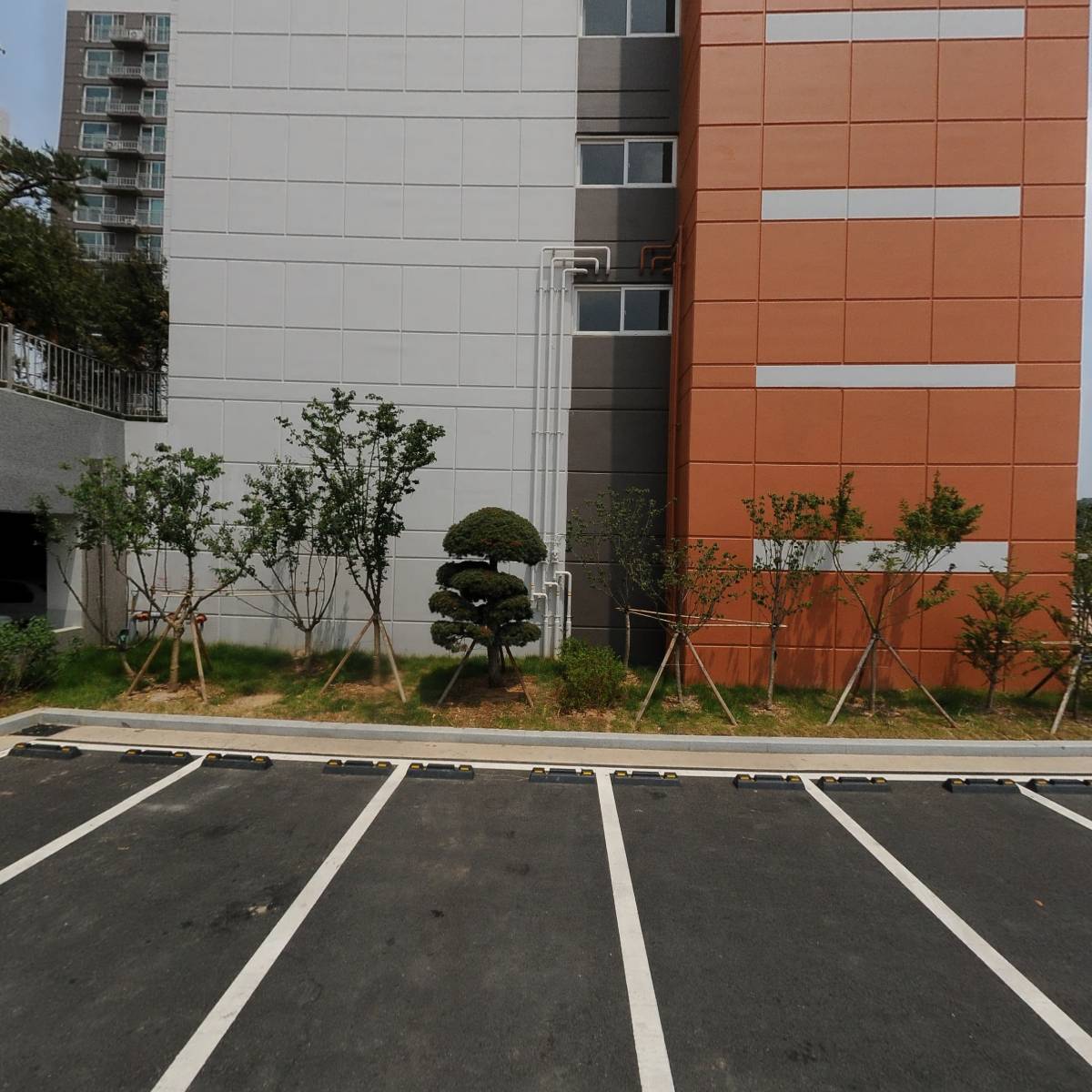 리베미히