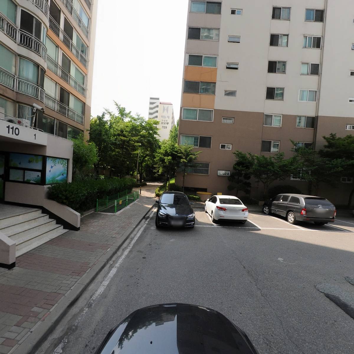 애호_4