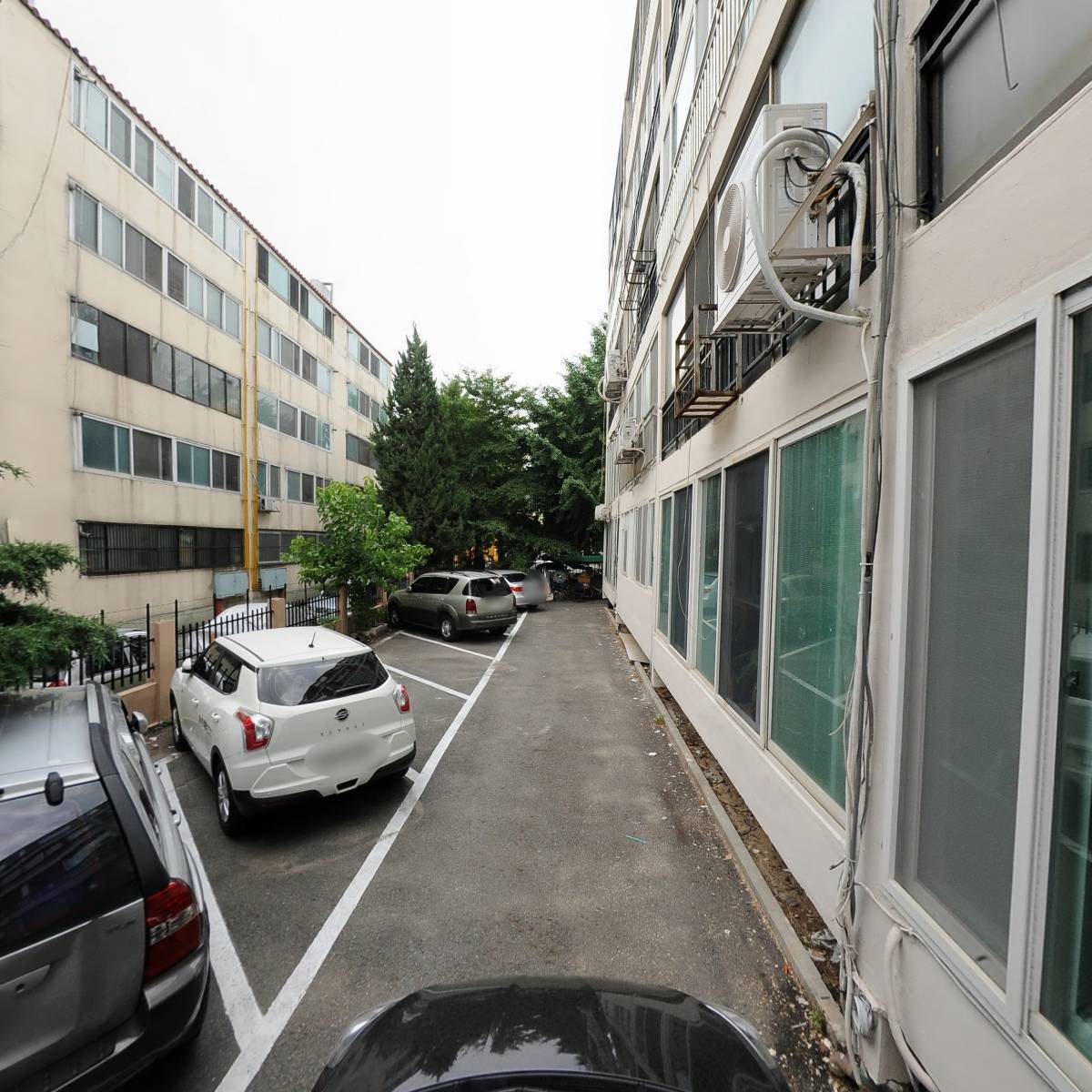 호산네츄렬_4