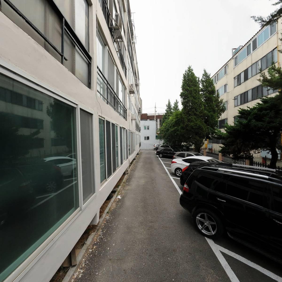 호산네츄렬_2