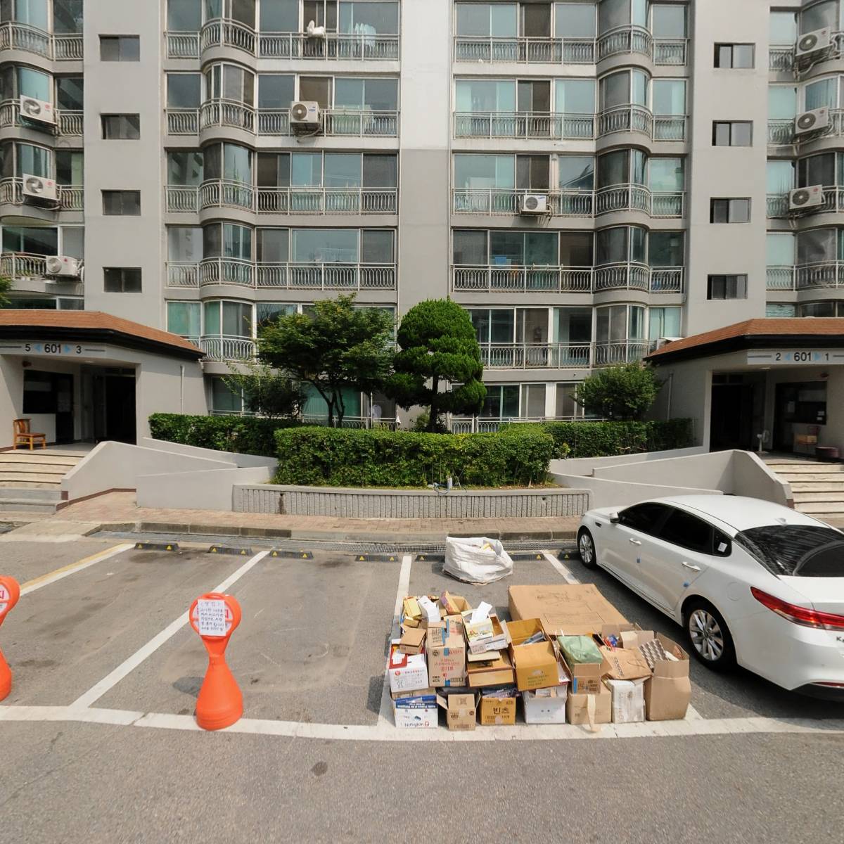 심원보