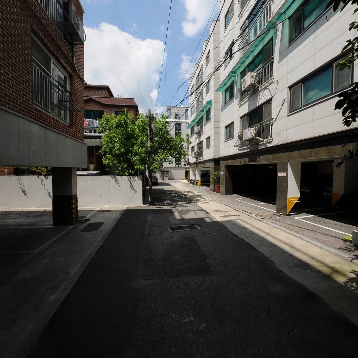 네이머스(Namous)_2