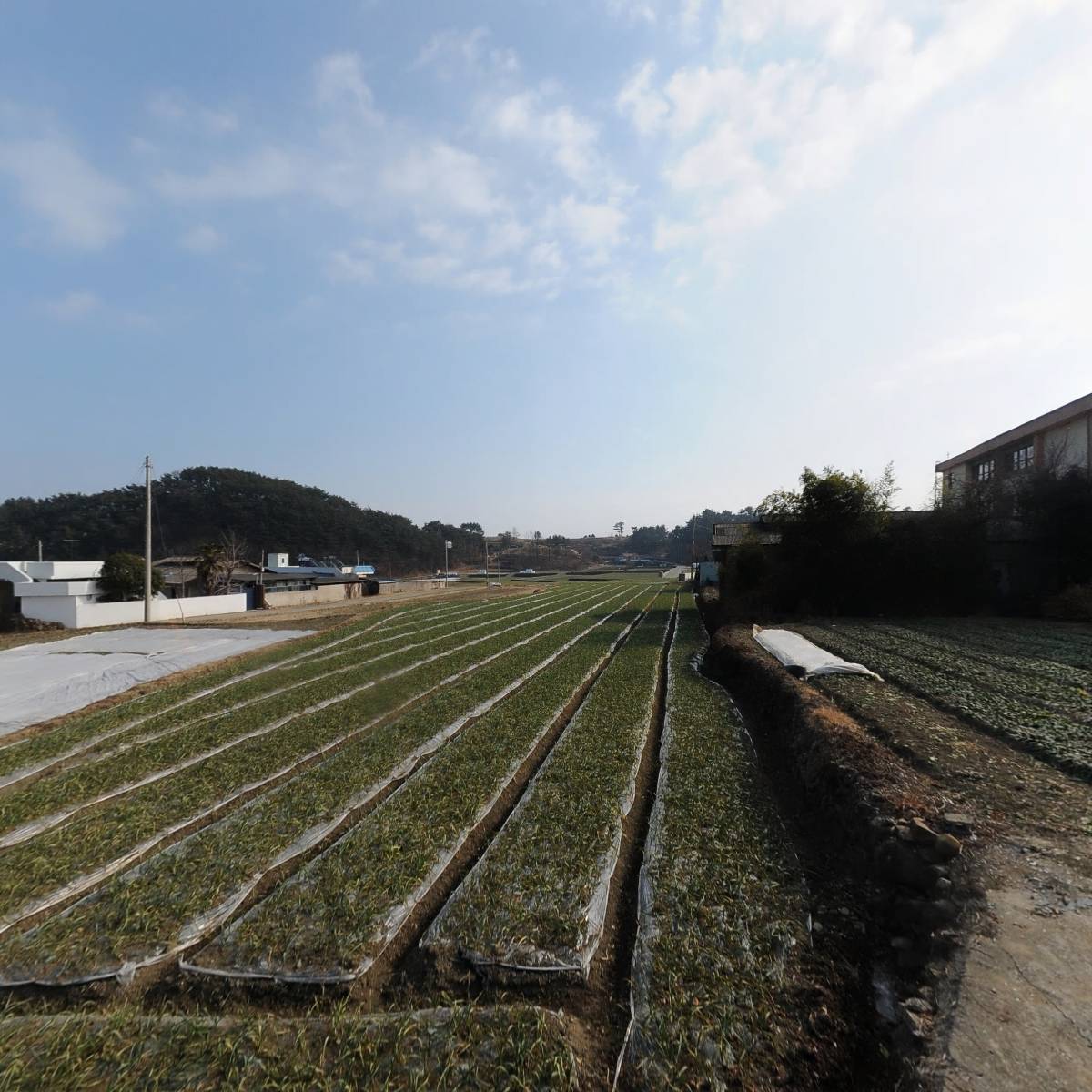 설천초등학교 학부모회